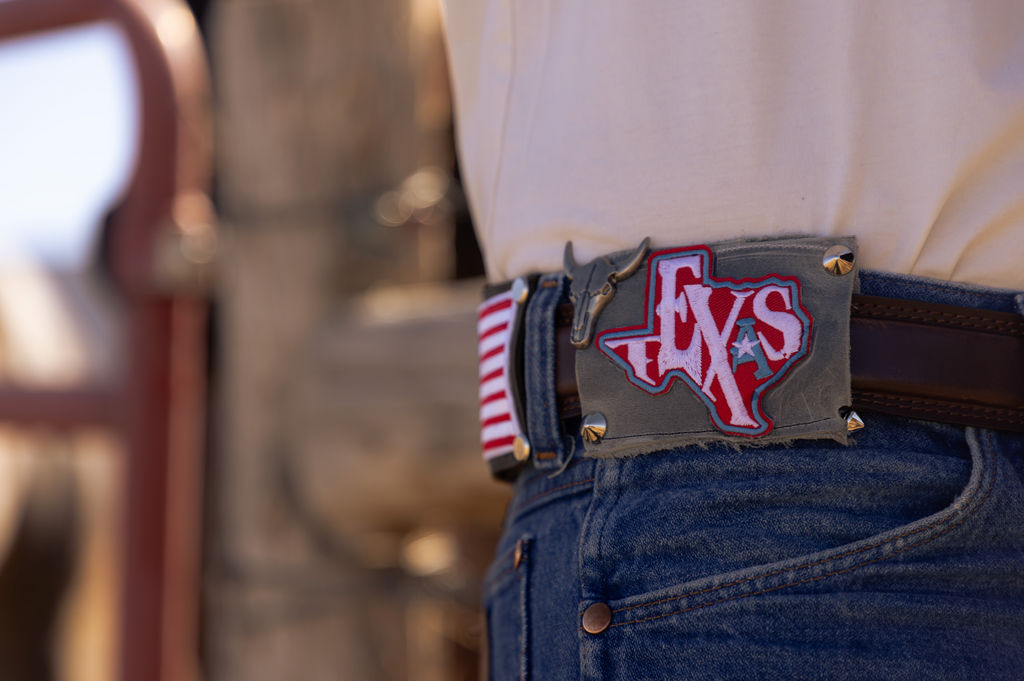 Texas Badgr Patch