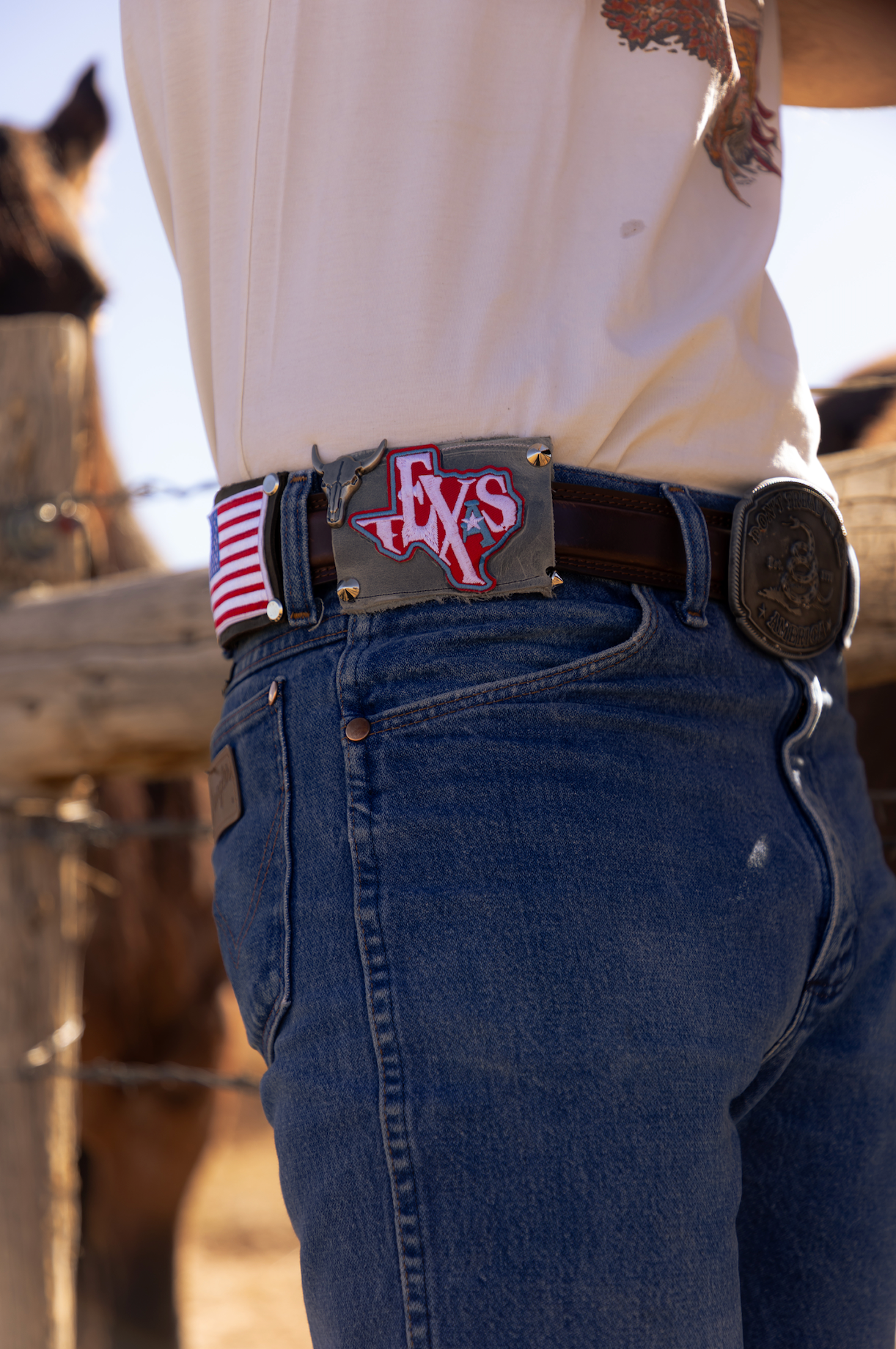 Texas Badgr Patch