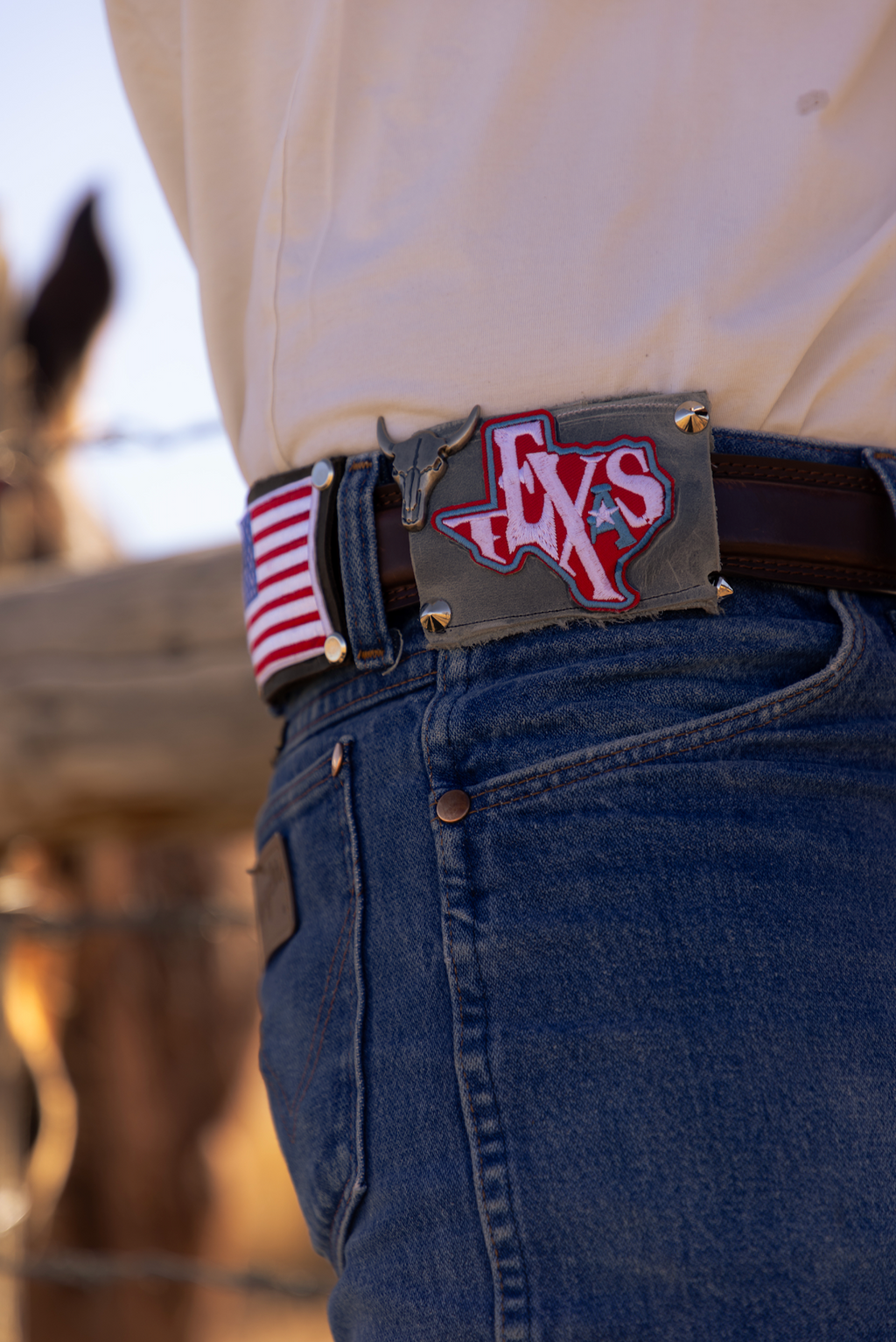 Texas Badgr Patch